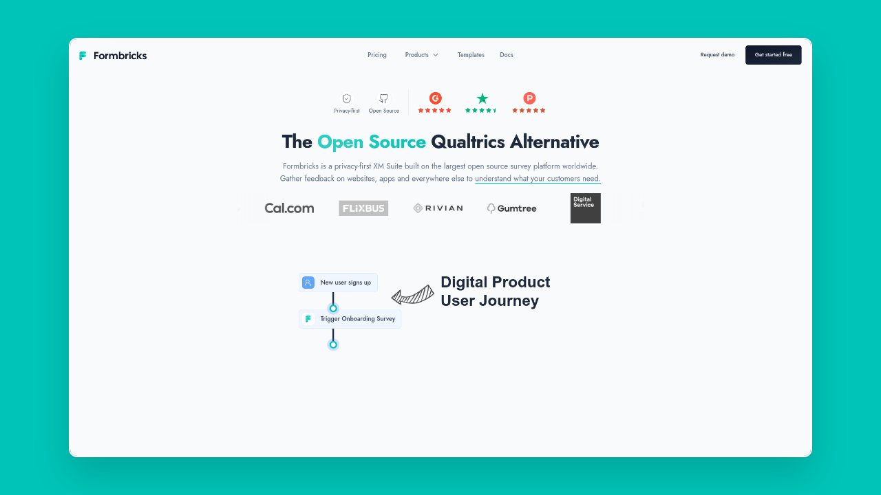 Homepage of Formbricks