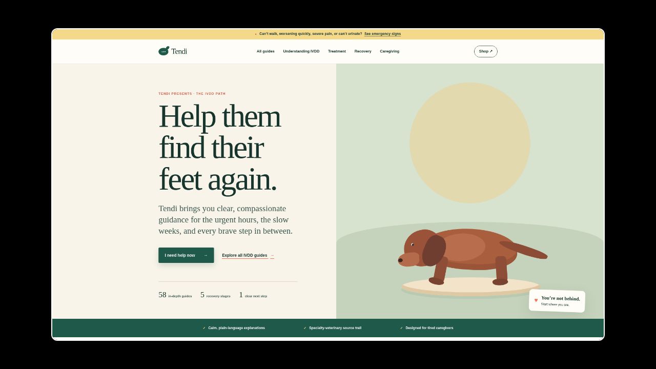 Homepage of Tendi